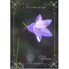 Колокольчик