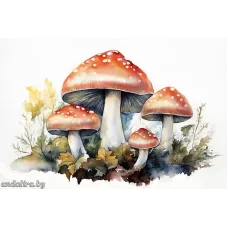 Грибы мухоморы